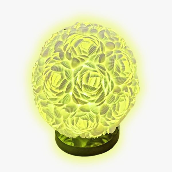 Egg Shell Table Lamp