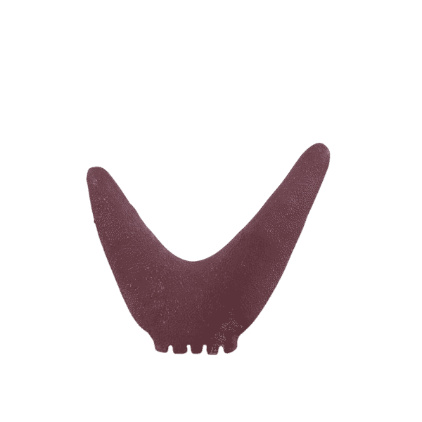 Nava Crescent Pottery Vase